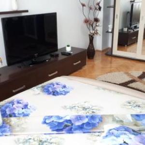 Apartament Mozaic