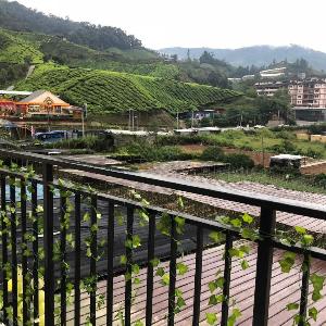 Peaceful homestay peony square Cameron highlands