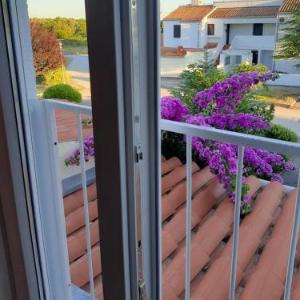 Apartment Enis
