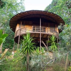 Junglebungalow