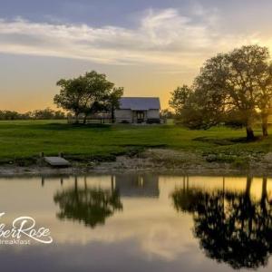 TimberRose Ranch and B&B