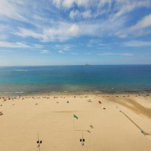 Las Damas estudio-Fincas Benidorm