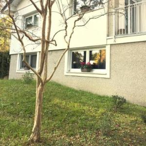 Villa Greif Pineta Apartment