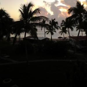 Cocotiers et pieds dans l'eau