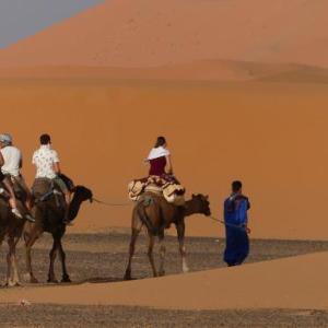 Camel Trekking Camp & Activities