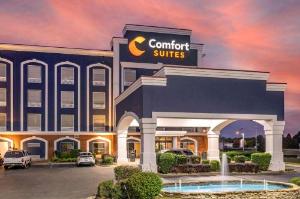 Comfort Suites Olive Branch, Olive Branch