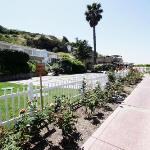 Hotels near Geoffrey's Malibu - Malibu Country Inn