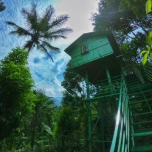 The Wayside Farm Cottage Munnar