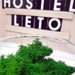 Hostel Leto