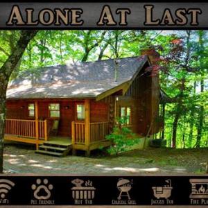 Priscilla Heights Lane Cabin 3210