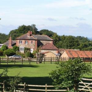 Blounts Court Farm