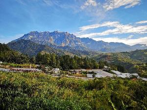 Blue Mountain Lodge Kundasang, Kinabalu National Park