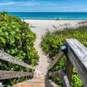 Oceanfront apartments at the Alexander