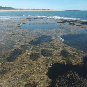 residance a 100 m de la mer