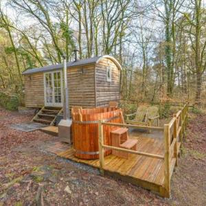 Rock View Shepherd's Hut Tavistock