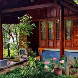 Lazo Whispering Woods Coorg