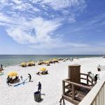 treasure Island 1802 Florida