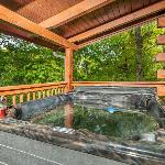 Bear Necessities cabin