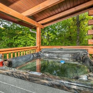 Bear Necessities cabin