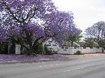 Tzaneen South Africa Hotels - Eskulaap Hotel & Conference