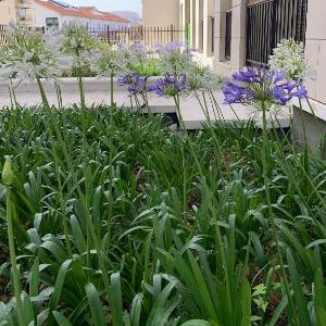 Appartement Moderne à Marseille avec Balcon et Vue sur Jardin