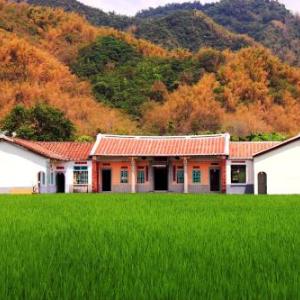 香蕉與黑膠 Yellow And Black Guest House