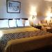 Hotels near Waterford Fairgrounds Ligonier - Budget Host Inn Somerset