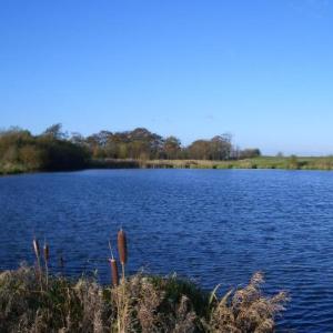 Barmston Farm