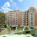 Rock Creek Park Hotels - Homewood Suites By Hilton Arlington Rosslyn Key Bridge