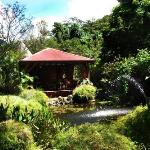 West Indies Cottage cottages haut de gamme avec piscine jacuzzi et vue jungle Guadeloupe 