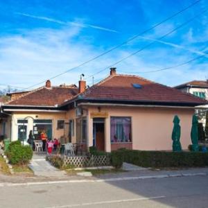 Timočka buna