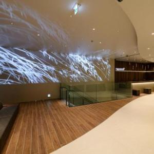 remm plus Ginza