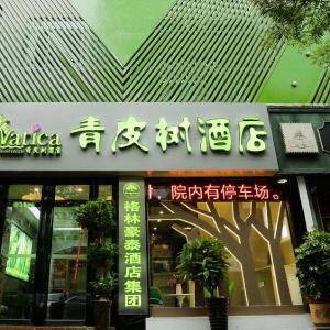 Vatica Hefei Lujiang Road Hotel
