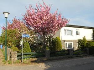 Beautiful Apartment in Kropelin near Baltic Sea, Kropelin