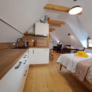 Pětidomí 88 - Rožmberská - podkrovní studio 5