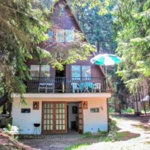 Chalet Bily - SZV100