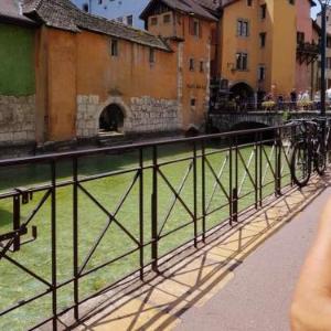 Appartement chaleureux à Annecy 63 m² cheminée