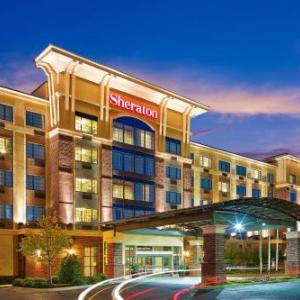 Sheraton Augusta Hotel