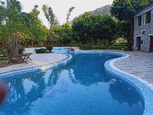 Dewdrop Mango Bloom Resort, Ramnagar