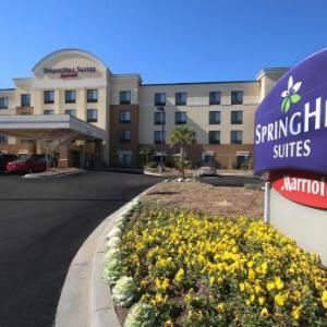 SpringHill Suites by Marriott Charleston North/Ashley Phosphate