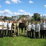 Mini-hotel Chaykhana U Verblyuda Kubinka 