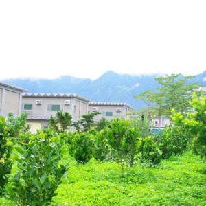 Hotel Jajowan﻿