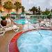 Hotels near Angel Stadium of Anaheim - Ayres Hotel Anaheim
