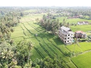 Nirwa Ubud Karma, Ubud
