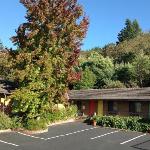 Hotels near Mateel Community Center - Humboldt Redwoods Inn