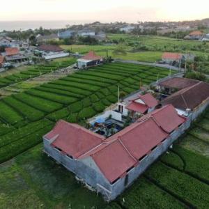 Pererenan Nengah Guesthouse Canggu