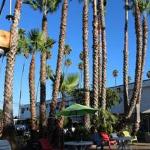 BackPackers Paradise Hostel