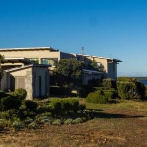 Benguela Cove - Lavender Dreams