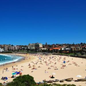 Surf Shack Coogee Beach