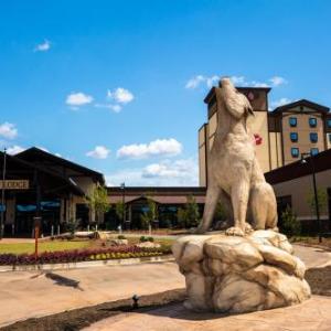 GREAT WOLF LODGE - ATLANTA LAGRANGE GA